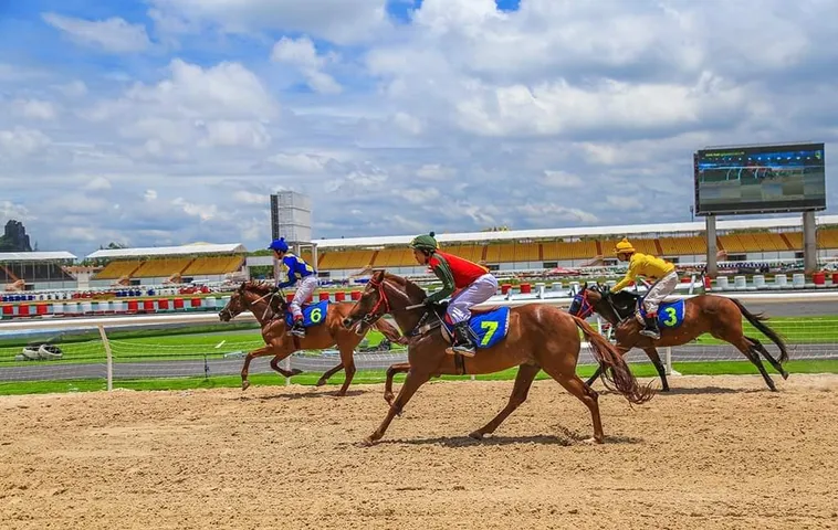 Khám Phá Cá Cược Đua Ngựa VVVWin Đỉnh Cao Của Giới Thượng Lưu 2 Khám Phá Cá Cược Đua Ngựa VVVWin Đỉnh Cao Của Giới Thượng Lưu