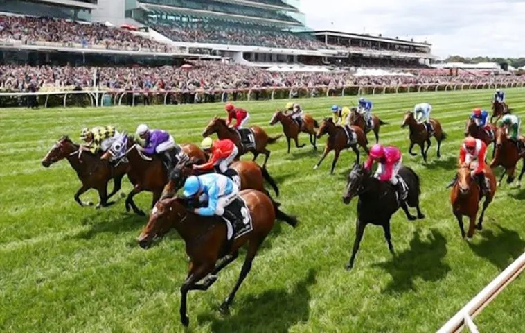 Khám Phá Cá Cược Đua Ngựa VVVWin Đỉnh Cao Của Giới Thượng Lưu 1 Khám Phá Cá Cược Đua Ngựa VVVWin Đỉnh Cao Của Giới Thượng Lưu