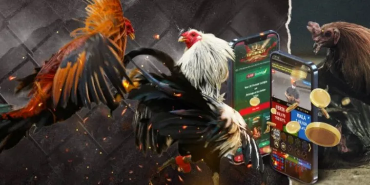 Bùng Nổ Cùng Sảnh Đá Gà GA28 Tại VVVWin Hướng Dẫn Cược Nhanh